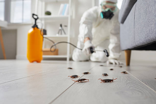 Commercial Kitchen Cockroach Control in Lansdowne